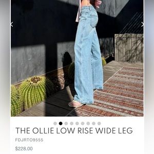 Favorite Daughter The Ollie Wide Leg in Torro Light Wash Size 27